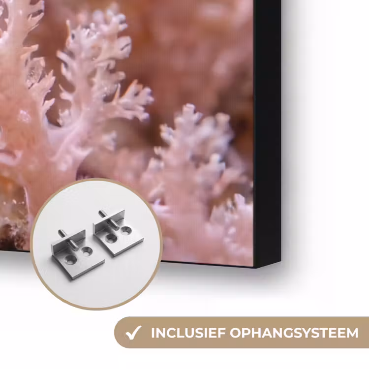 Vis - Koraal - Oceaan - Macro - Oranje Textielframe zwart klein -USP_ophangsysteemNL