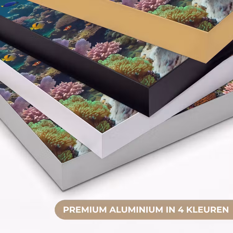 Vis - Koraal - Oceaan - Natuur - Kleurrijk Textielframe zwart klein -USP_kleurenNL