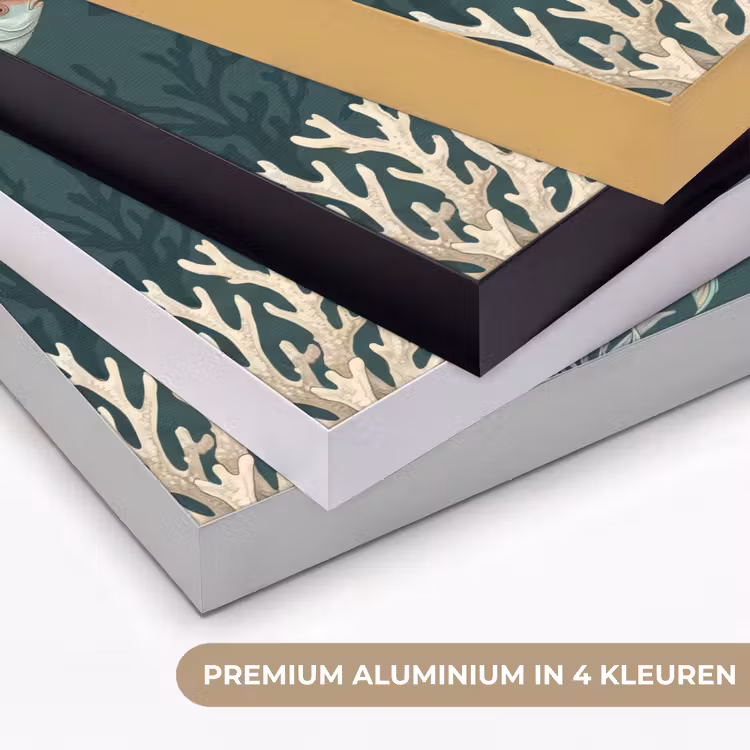 Vis - Koraal - Onderwater - Illustratie Textielframe zwart klein -USP_kleurenNL