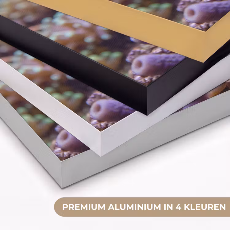 Vis - Koraal - Onderwater - Oranje - Dieren Textielframe zwart klein -USP_kleurenNL