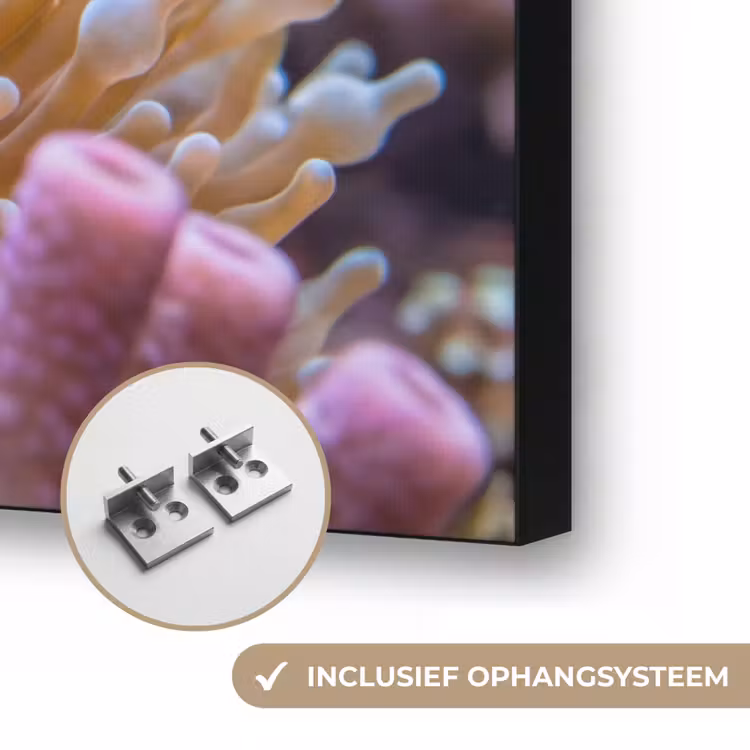 Vis - Koraal - Onderwater - Oranje - Dieren Textielframe zwart klein -USP_ophangsysteemNL