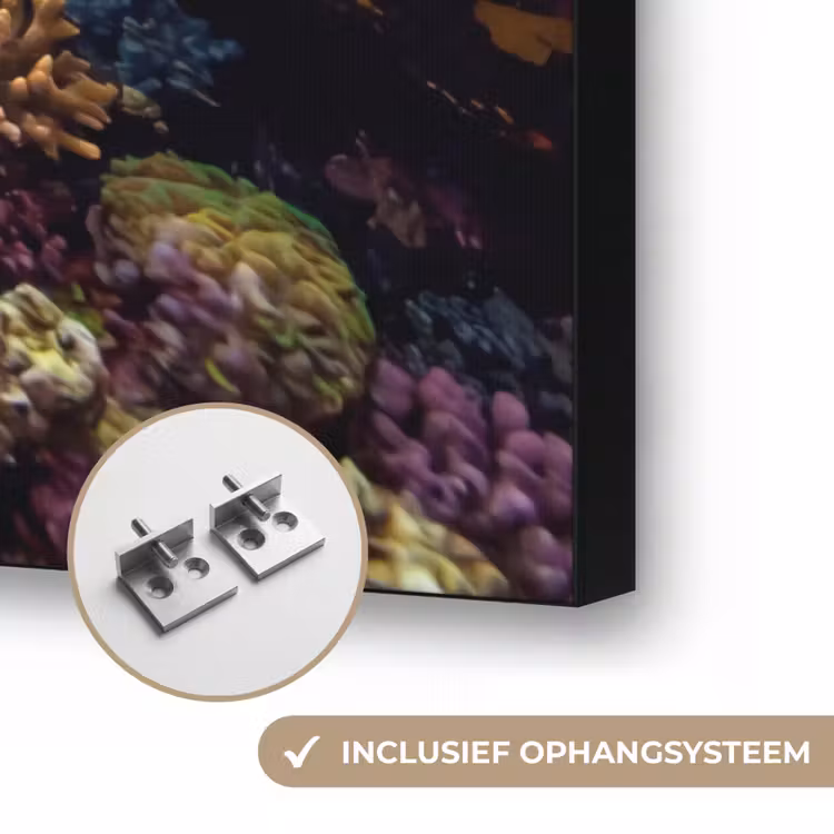 Vis - Koraalrif - Onderwater - Levendig - Blauw Textielframe zwart klein -USP_ophangsysteemNL