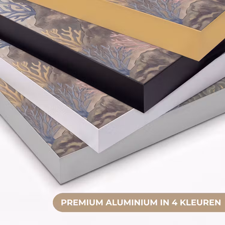Vis - Koraalrif - Onderwaterwereld - Illustratie Textielframe zwart klein -USP_kleurenNL