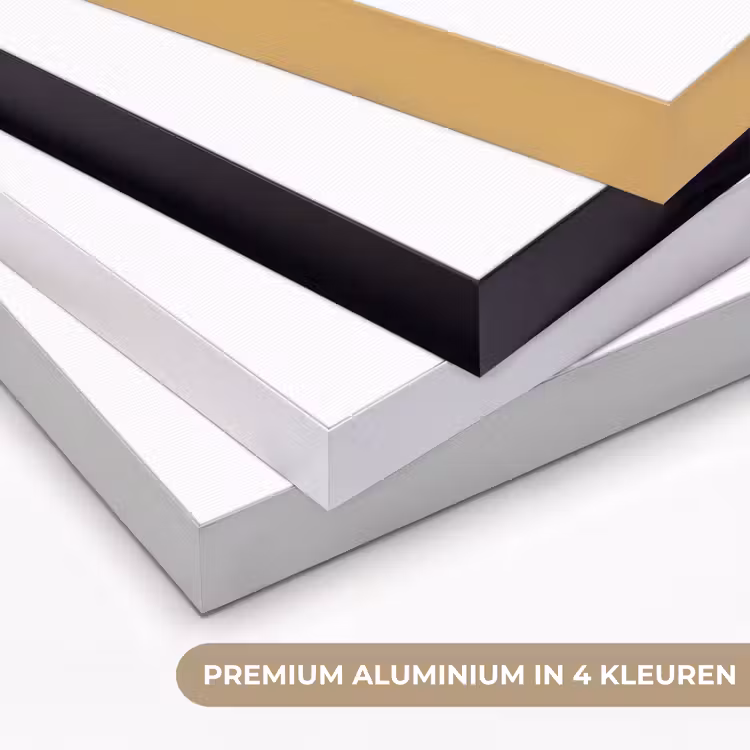 Vis - Minimalistisch - Blauw - Lijn Textielframe zwart klein -USP_kleurenNL