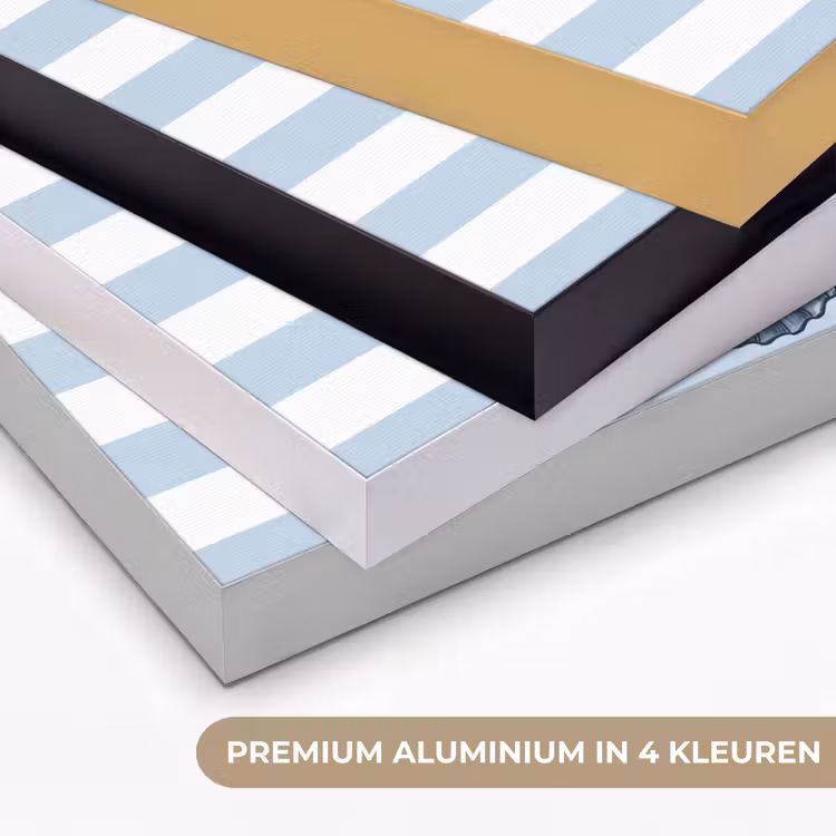 Vis - Oceaan - Illustratie - Blauw - Strepen Textielframe zwart klein -USP_kleurenNL