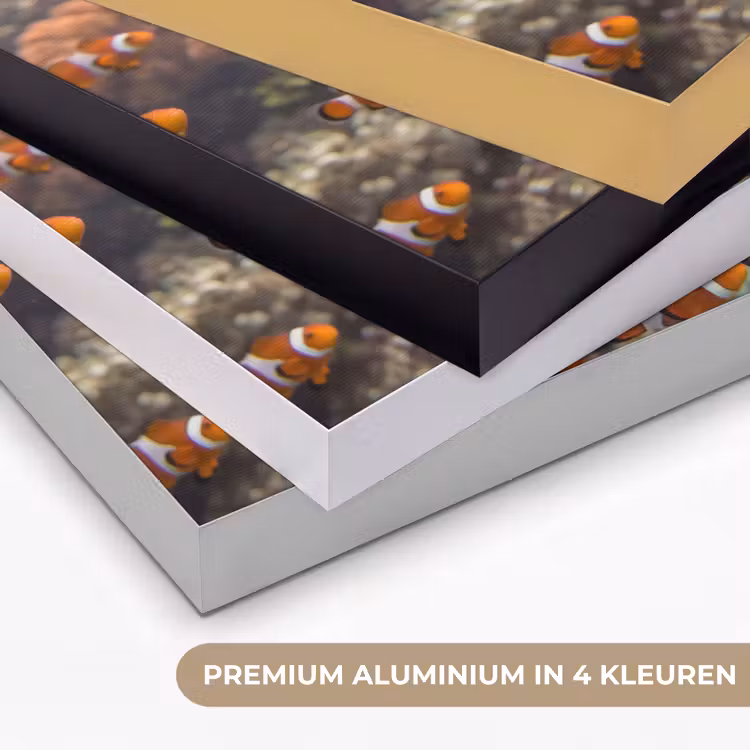 Vis - School - Onderwater - Dieren - Oranje Textielframe zwart klein -USP_kleurenNL