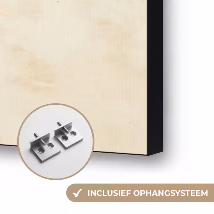 Vis - Sierlijk - Vinnen - Illustratie Textielframe zwart klein -USP_ophangsysteemNL