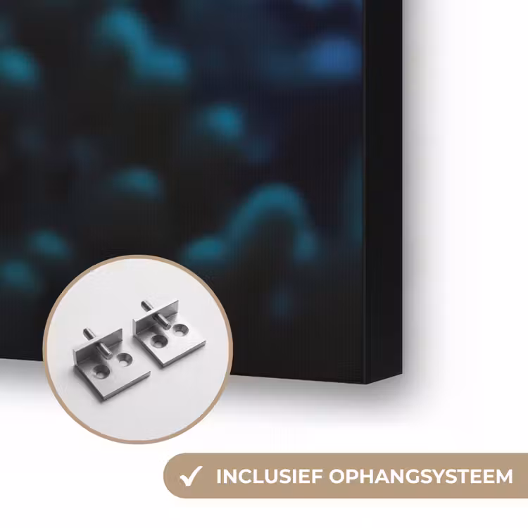 Vis - Stippen - Koraal - Blauw Textielframe zwart klein -USP_ophangsysteemNL