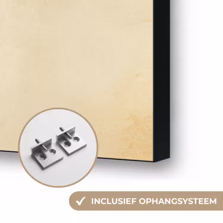 Vis - Tropisch - Strepen - Vinnen Textielframe zwart klein -USP_ophangsysteemNL