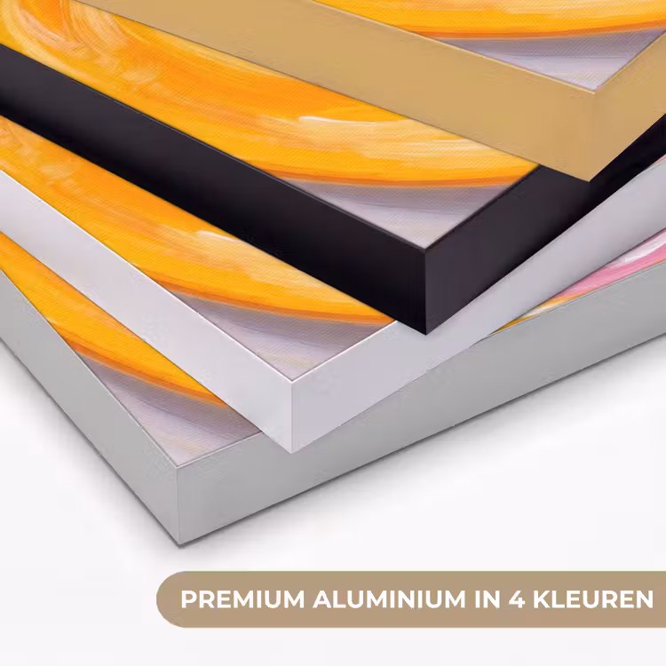 Vis - Vier - Eten - Modern - Kleurrijk Textielframe zwart klein -USP_kleurenNL