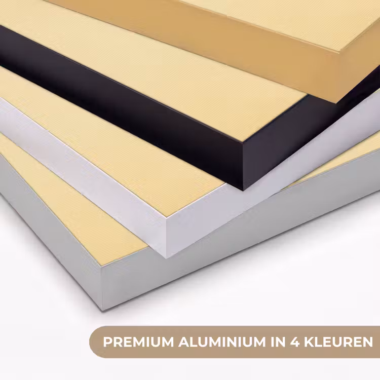 Vis - Vinnen - Blauw - Ogen Textielframe zwart klein -USP_kleurenNL