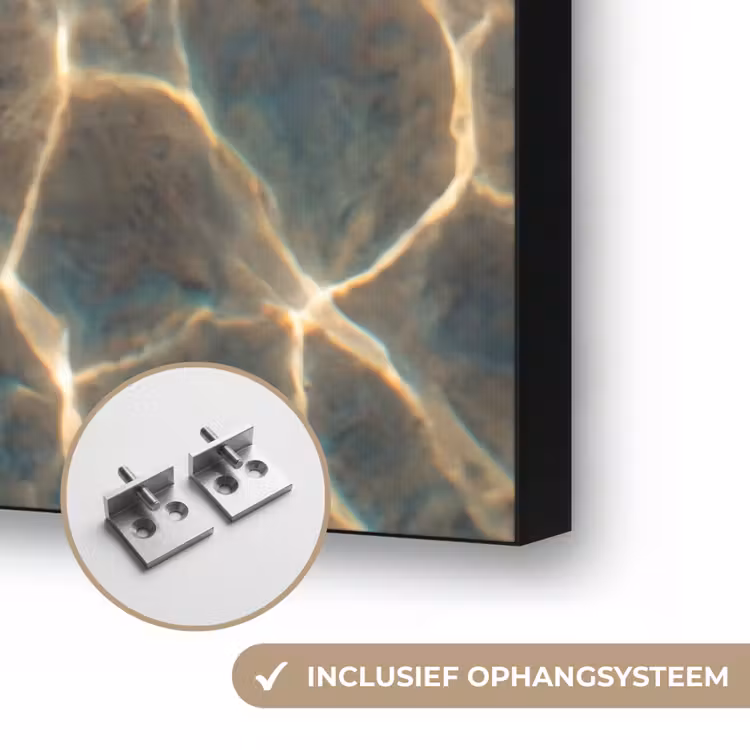 Vis - Water - Dieren - Oranje - Goud Textielframe zwart klein -USP_ophangsysteemNL