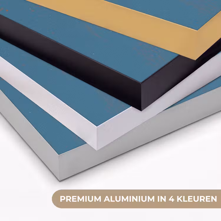 Vissen - Rood - Blauw Textielframe zwart klein -USP_kleurenNL