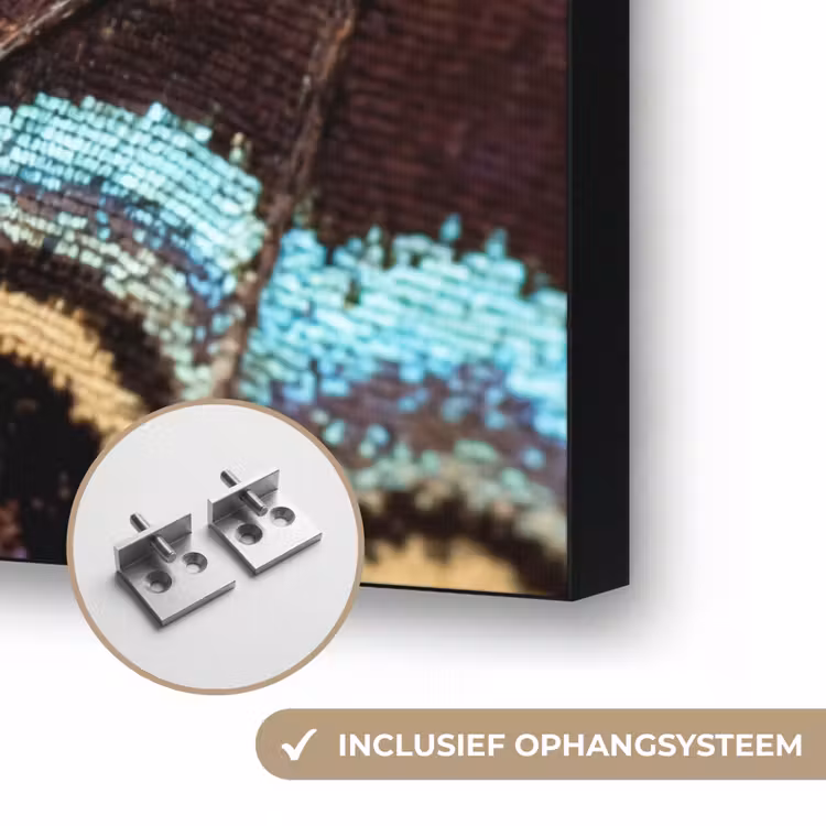 Vleugels - Vlinder - Blauw Textielframe zwart klein -USP_ophangsysteemNL