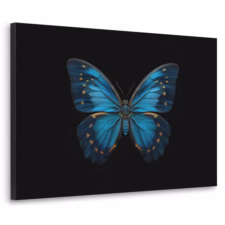 Vlinder - Blauw - Contrast Textielframe - compleet frame klein -3d