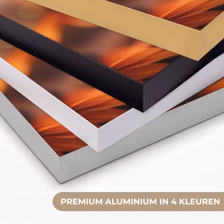 Vlinder - Bloemen - Oranje Textielframe zwart klein -USP_kleurenNL