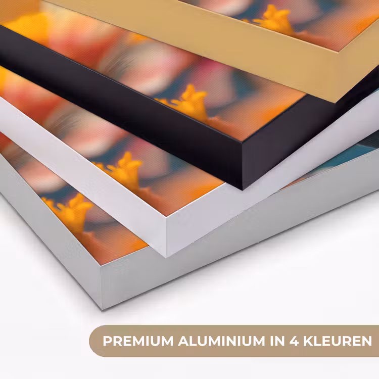 Vlinder - Dieren - Kleurrijk - Natuur - Bloemen Textielframe zwart klein -USP_kleurenNL