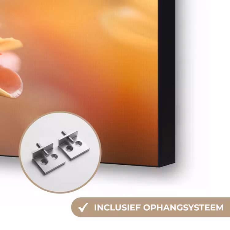Vlinder - Dieren - Kleurrijk - Natuur - Bloemen Textielframe zwart klein -USP_ophangsysteemNL