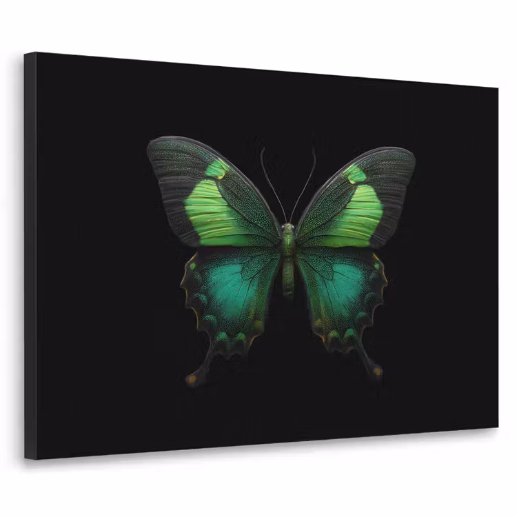 Vlinder - Groen - Opvallend Textielframe - compleet frame klein -3d