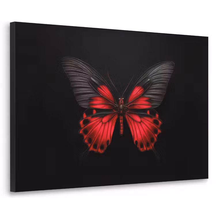 Vlinder - Rood - Contrast Textielframe - compleet frame klein -3d