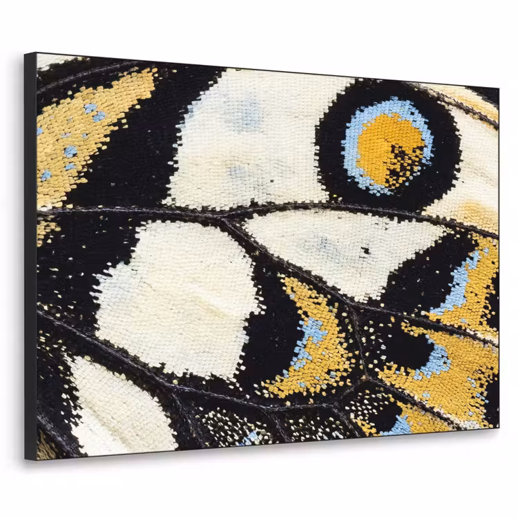 Vlinder - Vleugel - Geel Textielframe zwart klein -3d