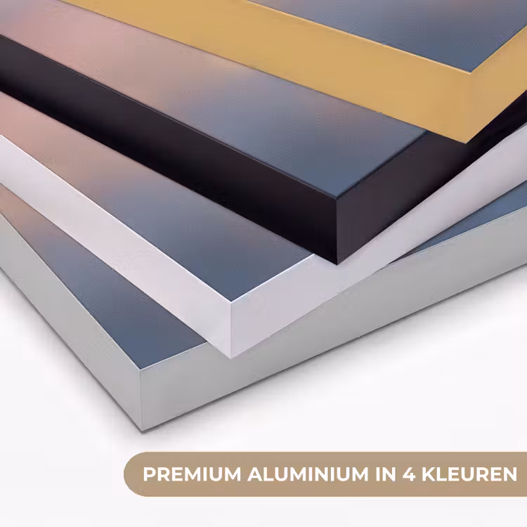 Vlinder - Vleugels - Pastel - Glinstering Textielframe zwart klein -USP_kleurenNL