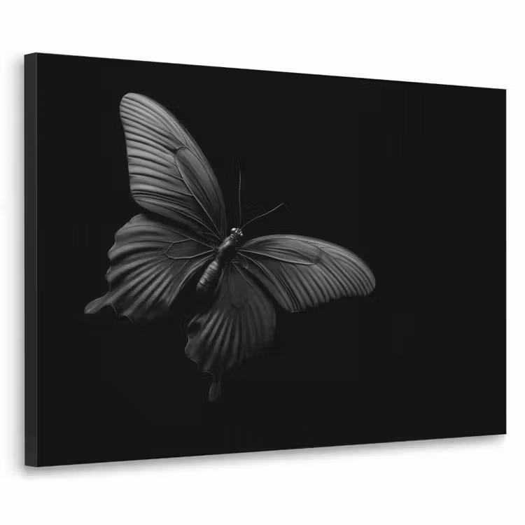 Vlinder - Zwart - Insect - Dieren Textielframe - compleet frame klein -3d