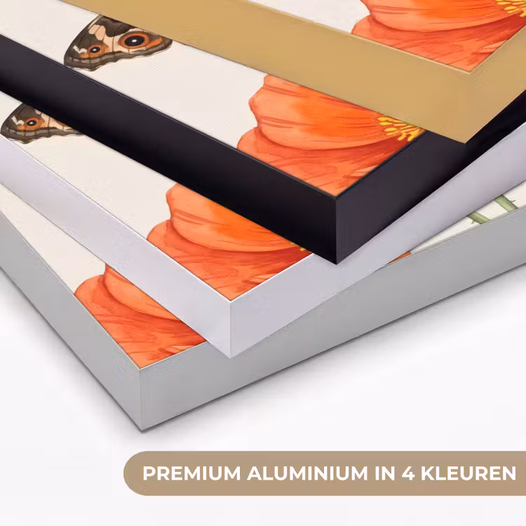 Vlinders - Klaprozen - Illustratie - Kleurrijk Textielframe zwart klein -USP_kleurenNL