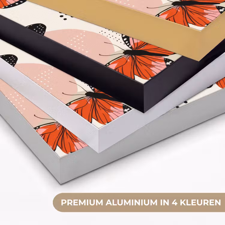 Vlinders - Retro - Kleurrijk Textielframe zwart klein 947 -USP_kleurenNL