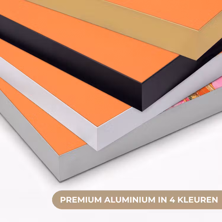 Vlinders - Vrouw - Zonnebril - Kleurrijk Textielframe zwart klein -USP_kleurenNL