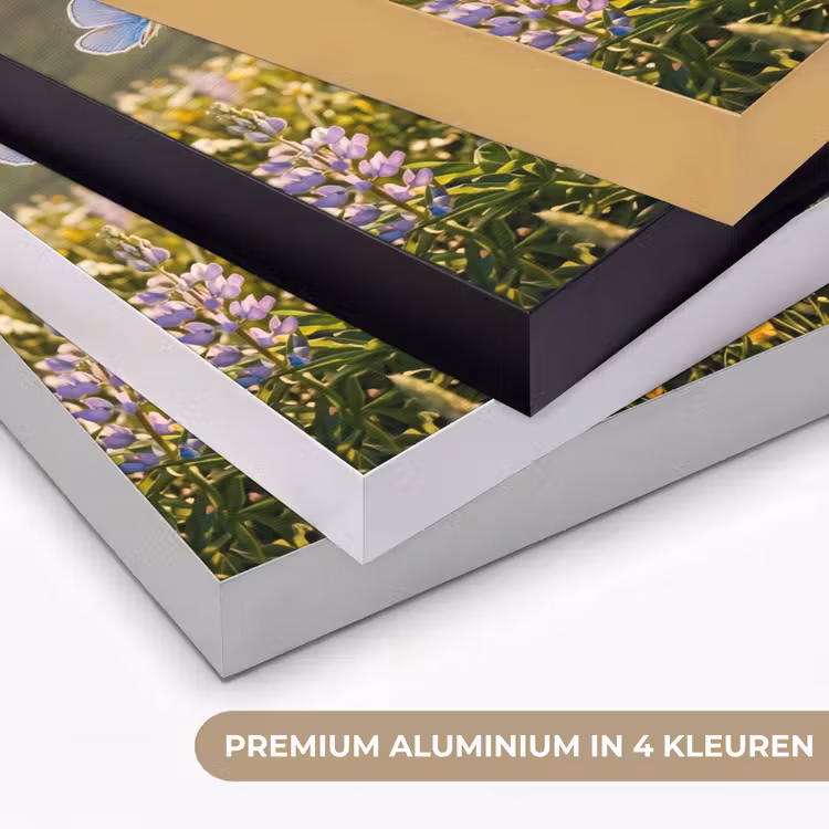 Vlinders - Waterval - Bloemenveld Textielframe zwart klein -USP_kleurenNL