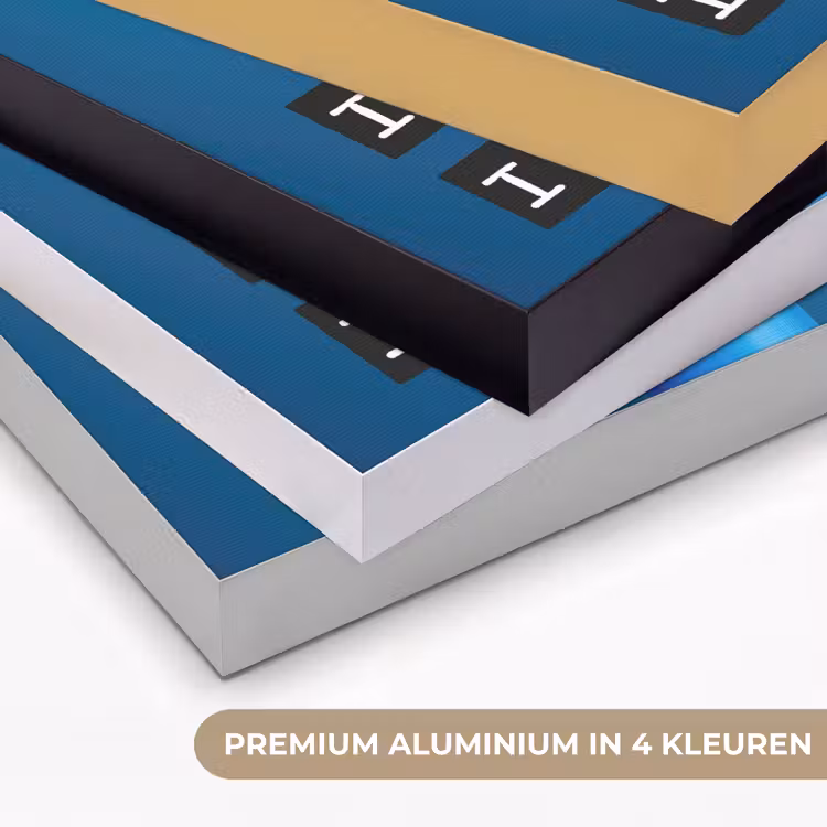 Vogel - Decoratie - Ijsvogel - Blauw Textielframe zwart klein -USP_kleurenNL
