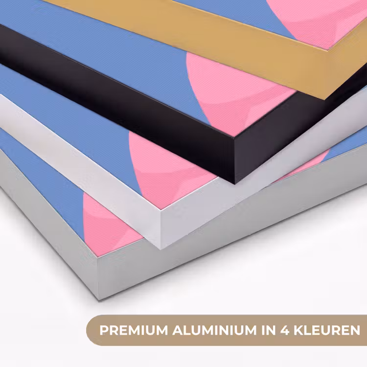 Vogel - Paar - Dieren - Modern - Roze Textielframe zwart klein -USP_kleurenNL