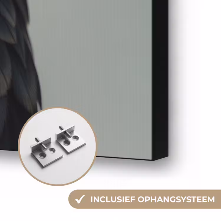 Vogel - Realistisch - Veren - Bruin Textielframe zwart klein -USP_ophangsysteemNL