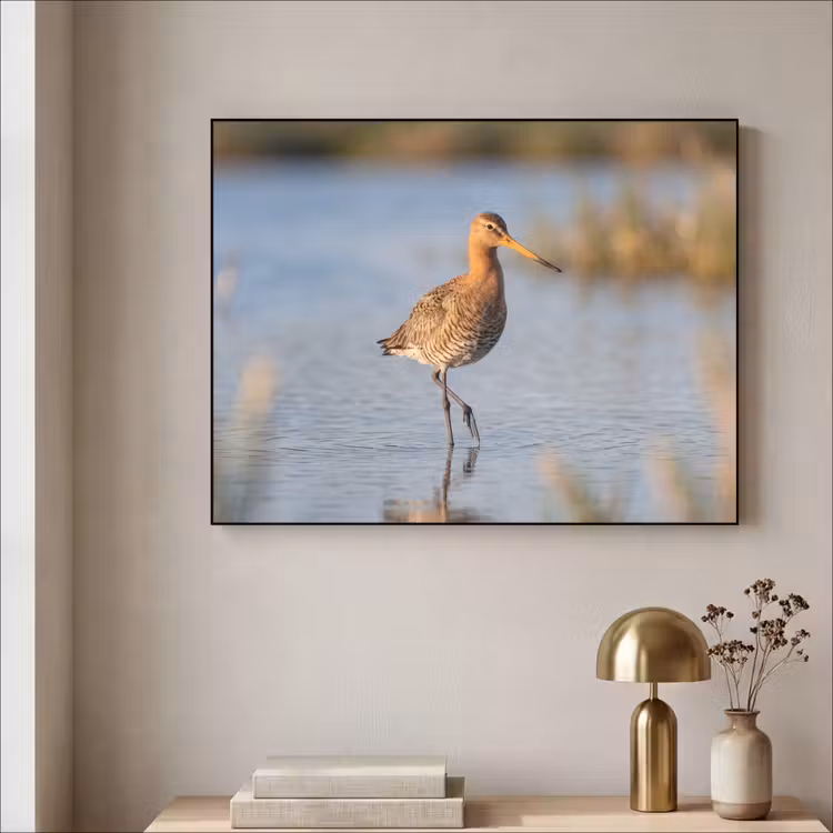 Vogel - Steltloper - Water - Natuur Textielframe zwart klein -sfeer2