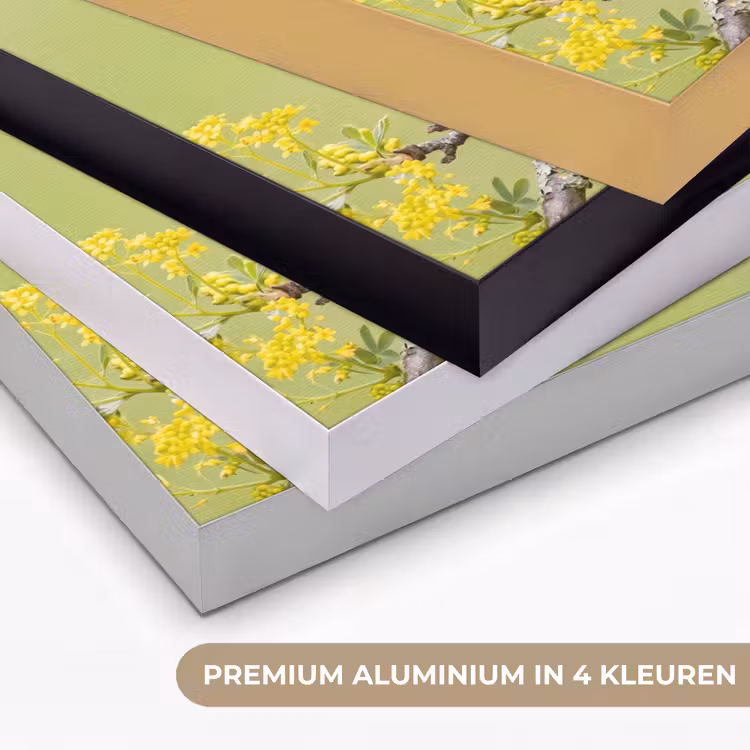 Vogel - Tak - Natuur - Kleurrijk Textielframe zwart klein -USP_kleurenNL