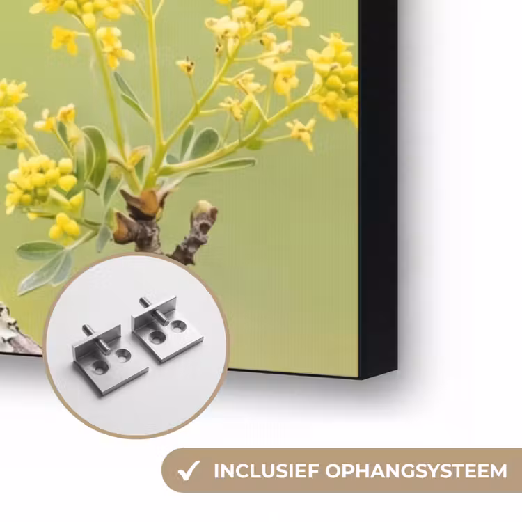Vogel - Tak - Natuur - Kleurrijk Textielframe zwart klein -USP_ophangsysteemNL