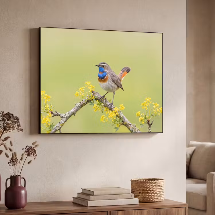 Vogel - Tak - Natuur - Kleurrijk Textielframe zwart klein -sfeer3