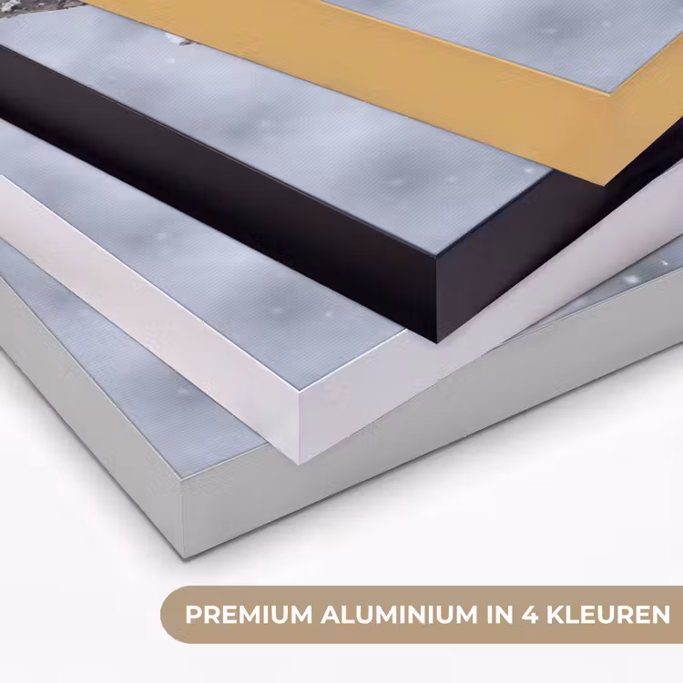 Vogel - Tak - Sneeuw - Winter Textielframe zwart klein -USP_kleurenNL