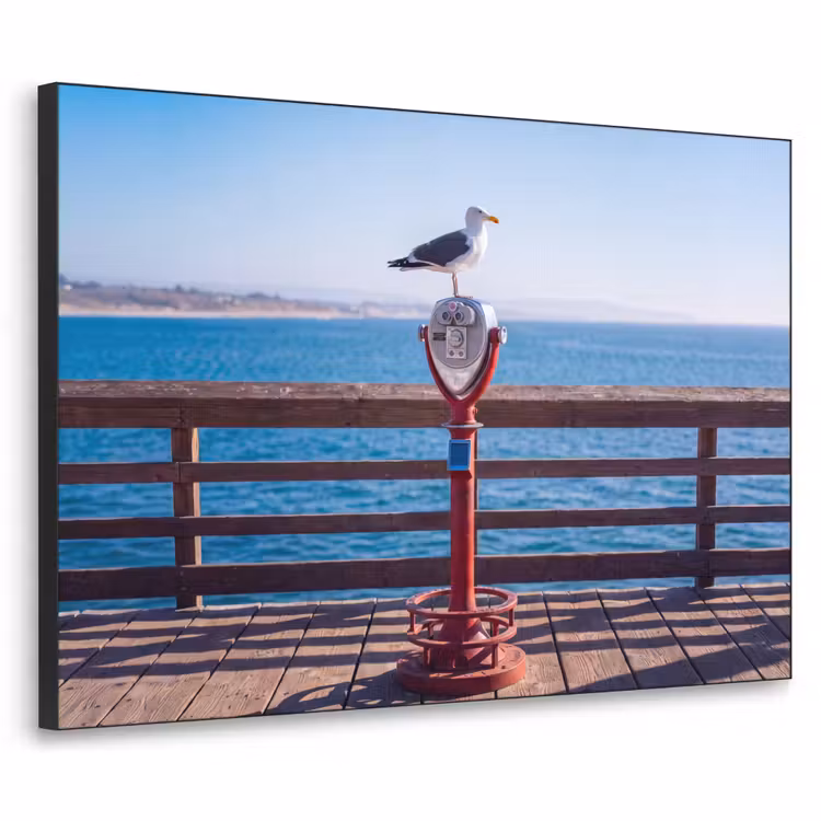 Vogel - Verrekijker - Kust - Zee - Blauw Textielframe zwart klein -3d
