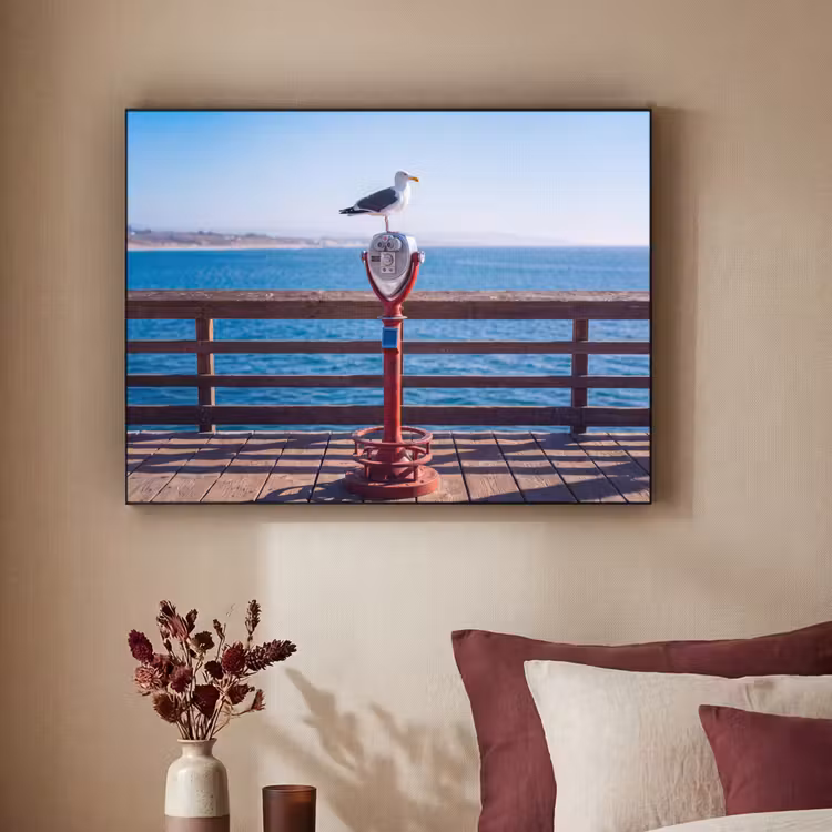 Vogel - Verrekijker - Kust - Zee - Blauw Textielframe zwart klein -sfeer1