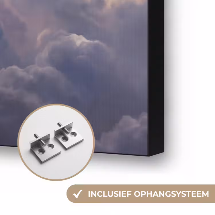 Vogel - Vliegend - Natuur - Wit - Wolken Textielframe zwart klein -USP_ophangsysteemNL