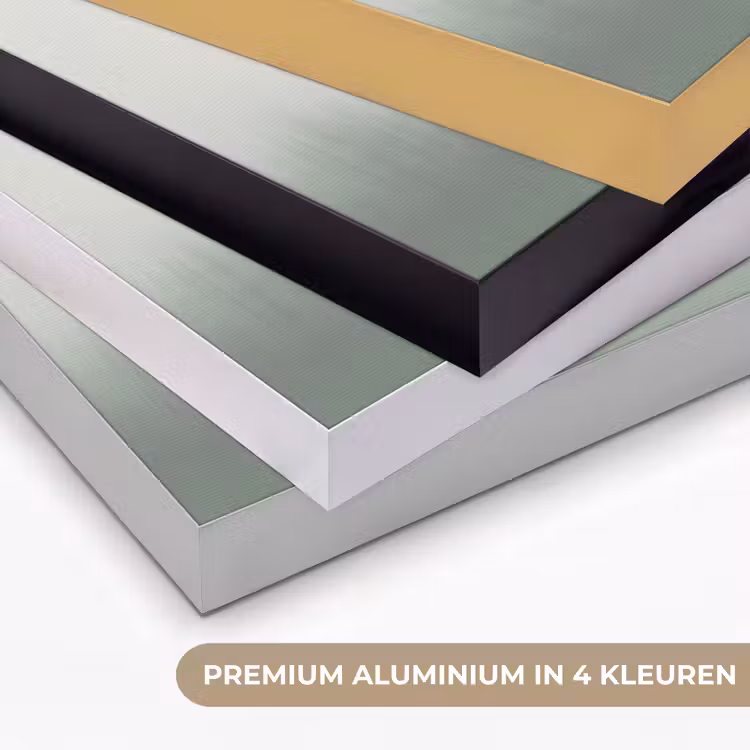 Vogel - Vlucht - Natuur - Minimalistisch Textielframe zwart klein -USP_kleurenNL