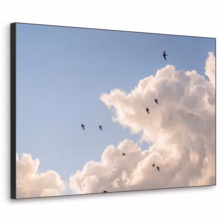 Vogel - Vlucht - Wolken - Natuur - Blauw Textielframe zwart klein -3d