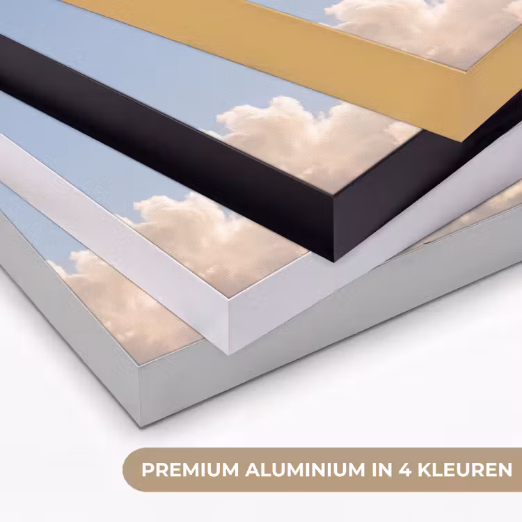 Vogel - Vlucht - Wolken - Natuur - Blauw Textielframe zwart klein -USP_kleurenNL