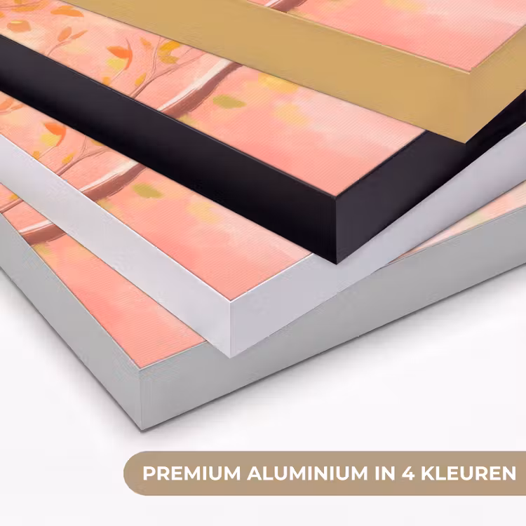Vogels - Kleurrijk - Tak Textielframe zwart klein -USP_kleurenNL