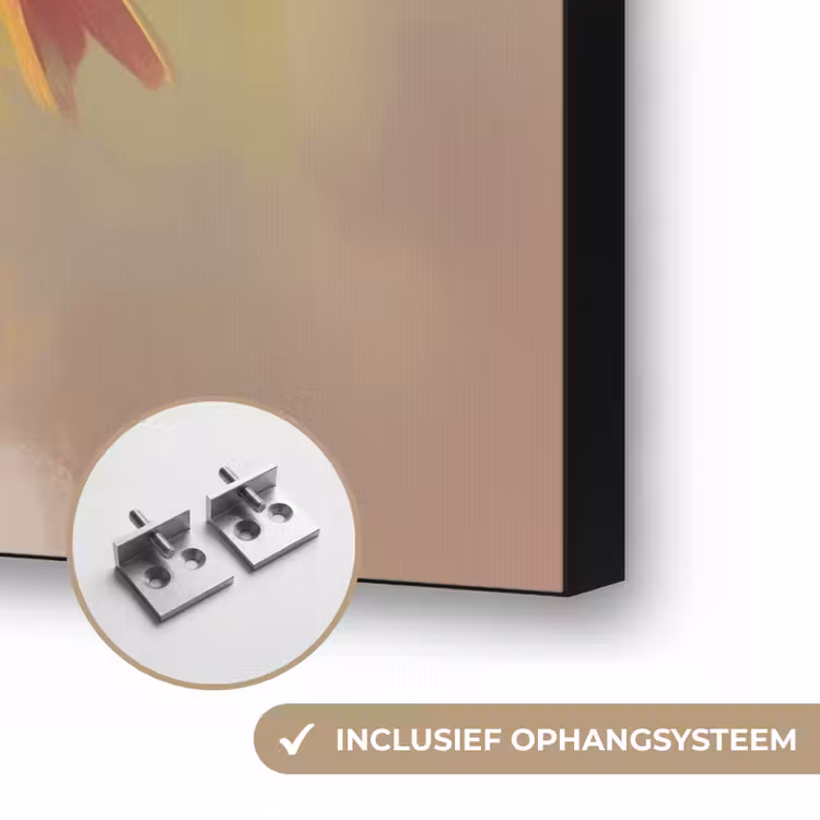 Vogels - Kleurrijk - Tak Textielframe zwart klein -USP_ophangsysteemNL
