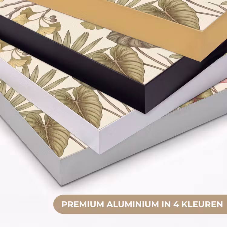 Vogels - Tropisch - Botanisch - Roze Textielframe zwart klein -USP_kleurenNL
