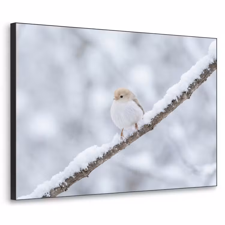 Vogeltje - Sneeuw - Tak - Winter - Zacht Textielframe zwart klein -3d