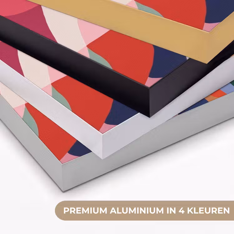 Vormen - Bochten - Kleurrijk - Abstract Textielframe zwart klein -USP_kleurenNL